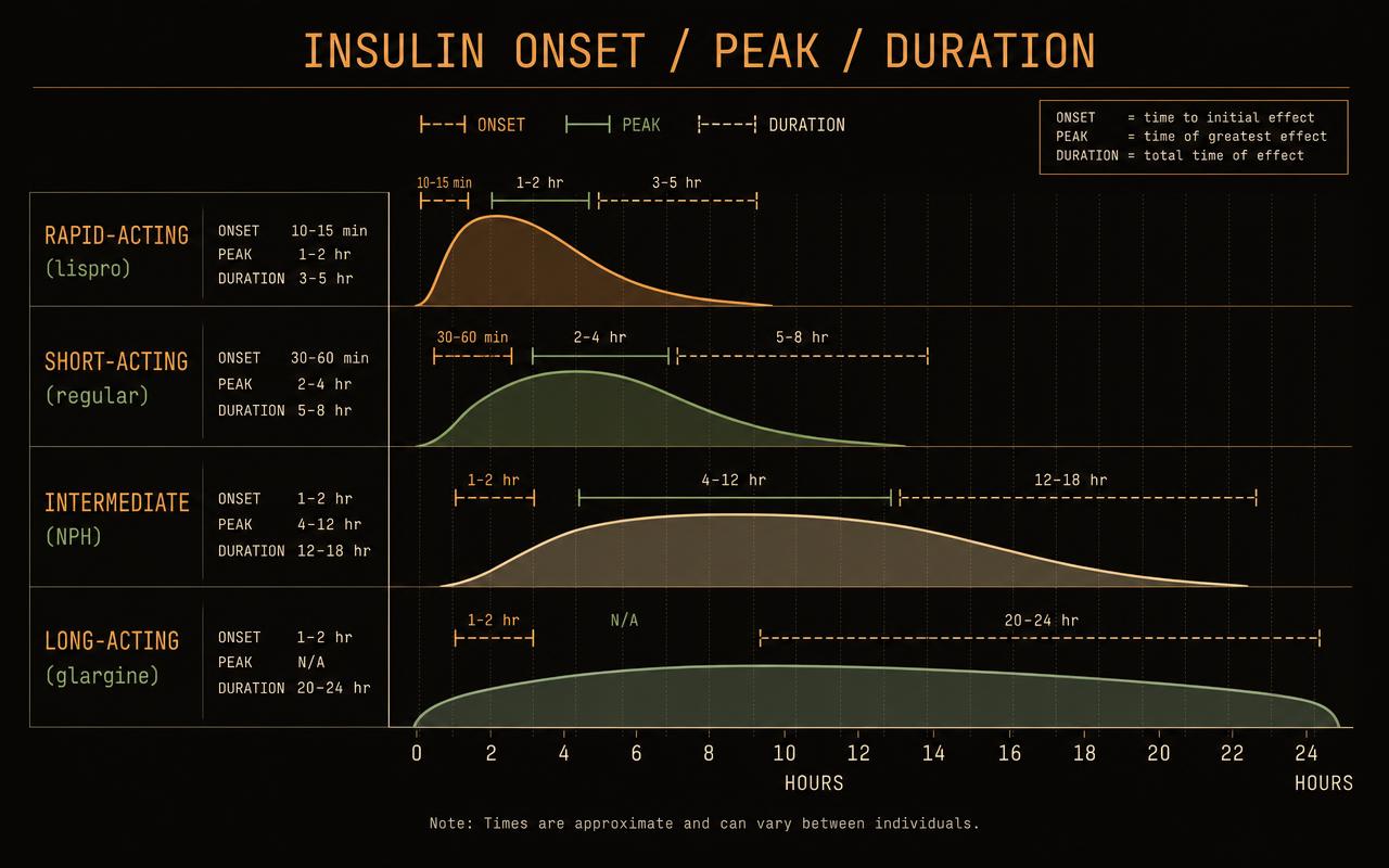 Insulin Onset, Peak & Duration